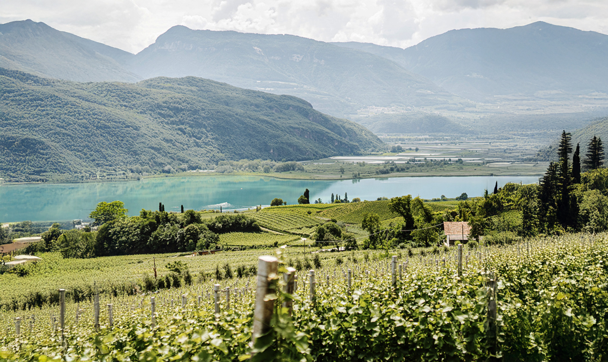 Qui Vinanza